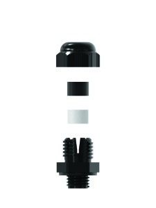 balance gland-1